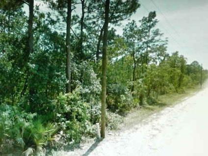 $9,999
1/2 Acre Green Parcel / POWER at Road Near Tampa/Cash Or Owner Term
