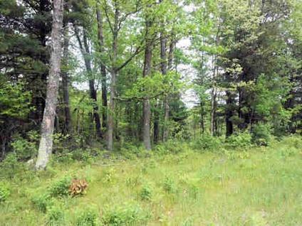$17,900
Idlewild: 9 acre parcel is bordered on 2 sides by Federal Land