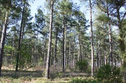 By Order of the U.S. Bankruptcy Court - Two Land Tracts in Aiken Count
