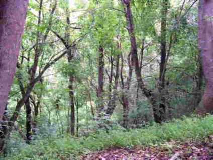 Granville, 3.06 wooded acres situated in Jackson County