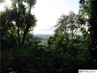 Lot 3 Linnwood Dr Albany, OR 97322