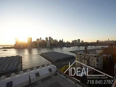 Luxury Two BR in Brooklyn Heights, with Harbor Views, Pets OK!