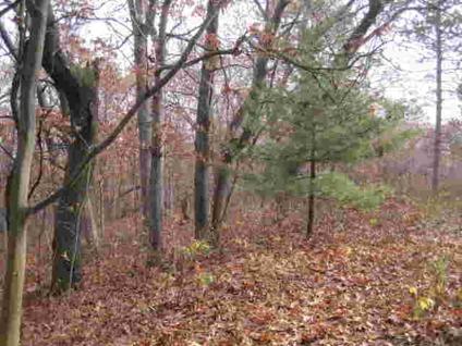 Lyndon Station, Wooded 1.25 acre parcel located just outside