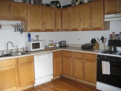 Need 2 roommates for a 3 Bed, 2 Bath (Wrigleyville)