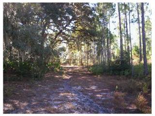 Shady Oak Place 180 Acres Groveland, FL 34736