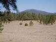 $100,000
Build your dream home on this forested and meadow covered scenic lot with