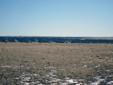 $10,000
35 acres of land for sale in Colorado