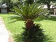 $110,000
Nice Well Taken Care of Home in a Mature Subdivision..This Home Sits on a Nice