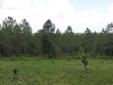 $120,000
Hunters dream! 20 acre site loaded with deer and turkey. Spring