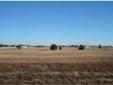 $149,900
Leesburg, This 5 acre parcel is all high and dry and located