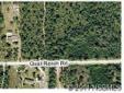 $15,500
New Smyrna Beach, 2.5 acre homesite in rural area with