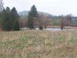 $169,000
28 beautiful acres with a large pond, rolling meadows, well on site