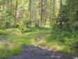 $170,000
Beautiful 20 Acres to build your dream home on. Septic and well are already in