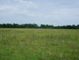 $185,000
+/- 41.13 acres in Burleson County