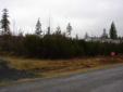 $18,000
Perfect level lot with river rights. Wild life Elk and Deer roam on and around