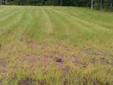 $19,999
Jacksonville, Vacant land in Baldwin cleared and ready to
