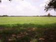 $1,087,500
Wills Point, Gorgeous, gently rolling acreage with scattered