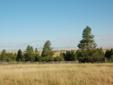 $210,000
Home site with views of the Camas Prairie