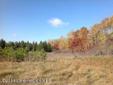 $215,000
Parcel F. Rural 13.83 Acre property with wooded building site and a 50x125 Steel