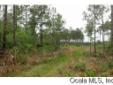 $224,000
PRIVATE HIDEWAY IN THE SUNSHINE STATE! This property features 70 acres where