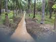 $225,000
9 Hectares property for Sale in Parrita, Costa Rica