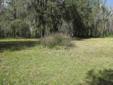 $24,900
Plant City, Beautiful treed 1 acre lot in the country