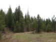 $252,000
Recreational & Hunting Land Near Orofino, Idaho