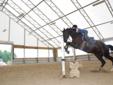 $25
Custom Equine Arenas by We Cover Structures