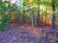 $29,900
5 Acres For Sale with Owner Financing - $495 Down Payment