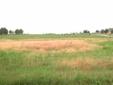 $30,000
A Picturesque One Acre Lot, Gently Sloped for Good Drainage.
