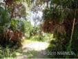 $30,000
New Smyrna Beach, Beautiful lot, 125 x 163 partially cleared