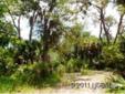 $30,000
New Smyrna Beach, Beautiful lot, 125 x 163 partially cleared