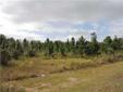 $30,000
Perfect piece of land to build your dream home. Nicely partially wooded lot