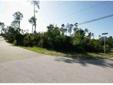 $335,000
Palm Harbor, Rare find 2-acres of undeveloped land in the