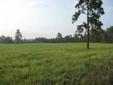 $349,000
Southern Pines, Beautiful 10+ac parcel all usable land and