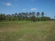 $350,000
Saint Augustine, Build your dream home and bring your horses