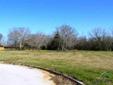 $35,000
Flint, BUILD HERE!!! Great half acre lot, close to but in