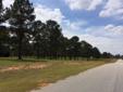 $36,000
Level 2 Acre Lot with Pine Trees in Neighborhood of Brick Homes.