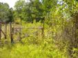 $40,000
Middleburg, NICE lightly wooded 3.73 vacant acres, fenced