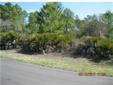 $45,000
Deland, BEAUTIFUL HIGH AND DRY 5 ACRE LOT MINUTES FROM ST.