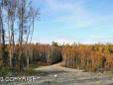 $45,000
Palmer, Beautiful view lots in new subdivision with lots