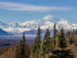 $475,000
Live the Alaskan Dream! Breathtaking panoramic views of Mt McKinley and Denali