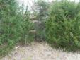 $4,000
Two heavily treed lots in the Cherokee Shores subdivision on Cedar Creek