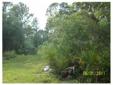 5122 Millstream Dr Groveland, FL 34736