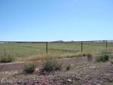 $55,000
4 Irrigated Acres! Nice acreage in a country setting, perfect for getting out of