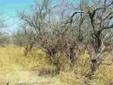 $59,900
Arivaca, JUST OFF PAVED UNIVERSAL RANCH ROAD AND ARIVACA