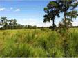 $62,900
Frostproof, 6 acres +/- fenced with wire. Electric at the