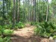 $64,900
Green Cove Springs, Beautiful 5-acre wooded parcel ready for
