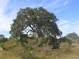 $65,000
Hill Country living at it's best!! Level 1.05 acre lot with majestic oak trees