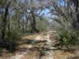 $65,000
Lake Wales, Almost 5 acres of beautiful land.